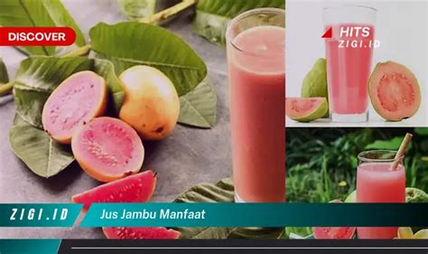 Temukan Manfaat Jus Jambu Yang Jarang Diketahui