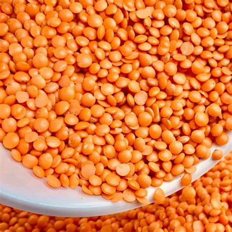 Red Masoor Dal Pulse High In Protein Packaging Size Kg At Rs