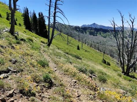 10 Best Trails And Hikes In Riggins Alltrails