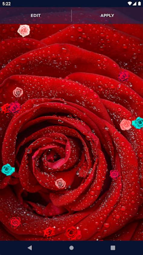 Android I In Red Rose Live Wallpaper Apk Ndir