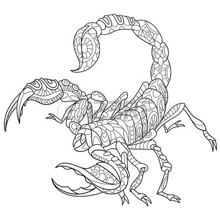 Realistic Scorpion Drawing at GetDrawings | Free download