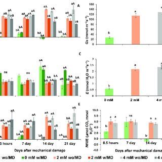 A Co Assimilation Rate A Time Damage Calcium P