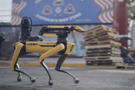 Finanza Follia Primo Ministro Cane Robot Italiano Catturare Guardiano Vice