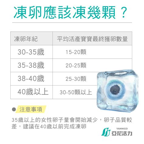 凍卵前先這樣調理提高機率！完整版流程、營養飲食補充懶人包 亞尼活力