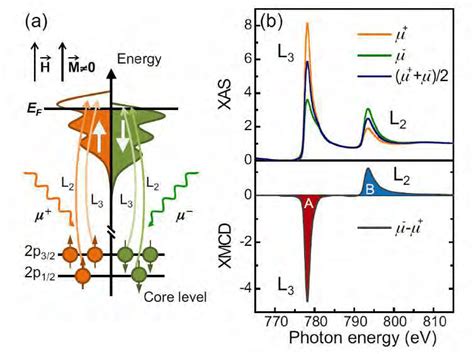 A Schematic Principle Of X Ray Magnetic Circular Dichroism Xmcd