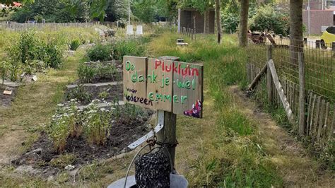 Tuinfeest Bij Het Fundament In Nieuw Den Helder Regio Noordkop