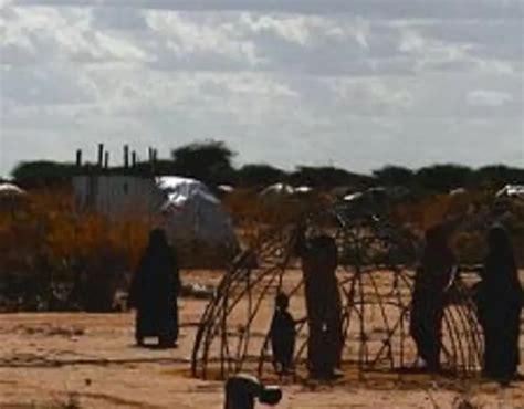 Collateral Damage in the War on Terror: Somalia | Pulitzer Center