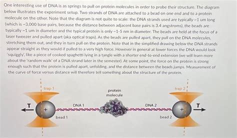 Solved The following plot below is from an optical tweezers | Chegg.com