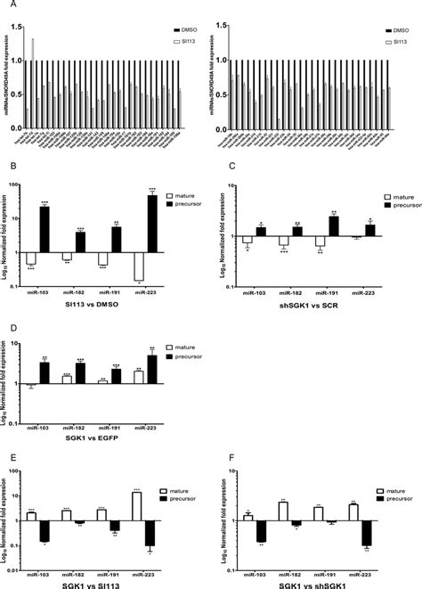 Sgk1 Modulation Affects Both Mature And Precursor Microrna Levels A