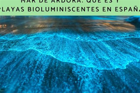 Descubre el mágico mar de Ardora y sus playas bioluminiscentes en