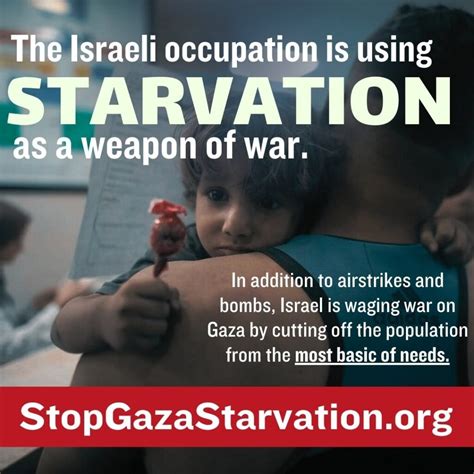 Urgent Aid to Gaza: Call for Donations : Via Campesina