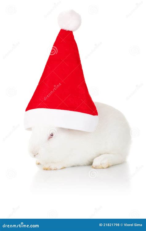 White Rabbit Wearing A Santa Hat Royalty Free Stock Photos Image