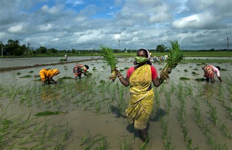 What Budget Means For Rural India