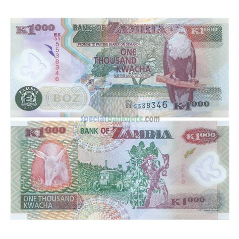 Zambia Kwacha Polymer Banknote Unc Special Minds Store