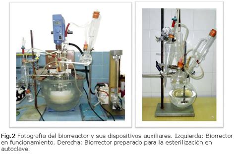 Construcci N Y Validaci N Experimental De Un Biorreactor Artesanal Tipo