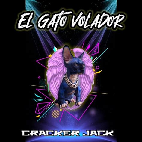 El Gato Volador Youtube Music