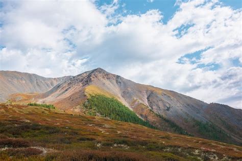 Paisagem dramática de montanha no outono arbustos e arbustos vista