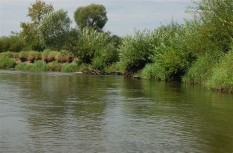 Canoeing on the Pilica River - ITS Poland