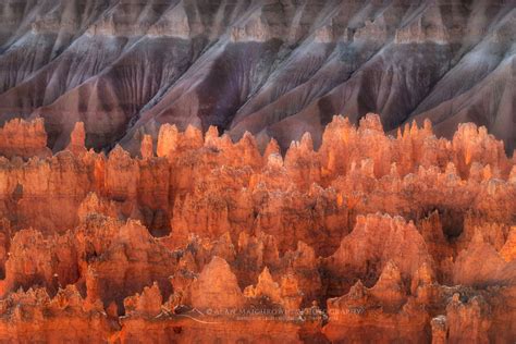 Sunrise Point Bryce Canyon National Park Alan Majchrowicz Photography