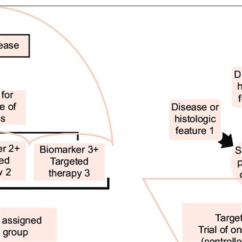 A Umbrella Trial And B Basket Trial A B Download Scientific Diagram