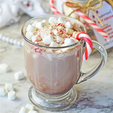 Peppermint Hot Cocoa Mix Soulfully Made