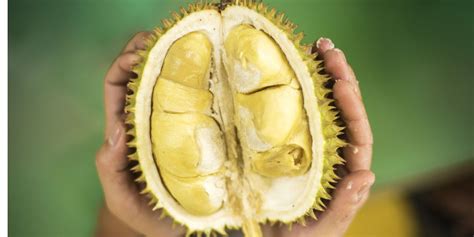 What Is Durian Fruit?