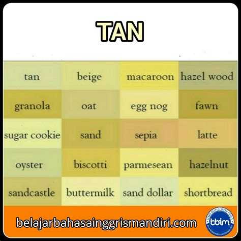 Gaya Terbaru Macam Macam Warna Dalam Bahasa Inggris Macam Macam Warna