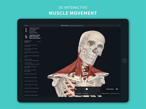 Complete Anatomy 2023 Ipad App Appwereld