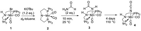 Reaction Of Formamide With In Situ Generated Complex 2 Download