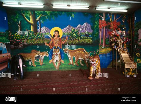 Indian photography studio backdrop of tiger God mountain at Sabarimala ...