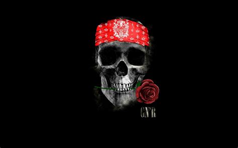 Wallpaper Skull Guns N Roses Rock And Roll Bone Goaltender Mask