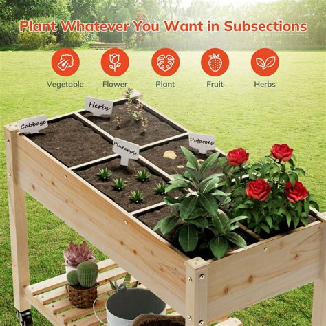 Vegetable Garden Planter Boxes