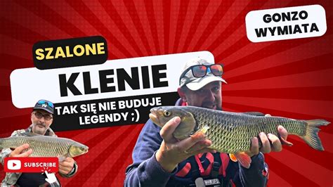 Szalone klenie Tak się nie buduje legendy Mega udany dzień nad