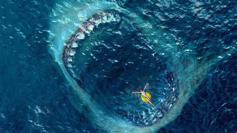 The Megalodon The Enormous Ancient Shark That Completely Disappeared