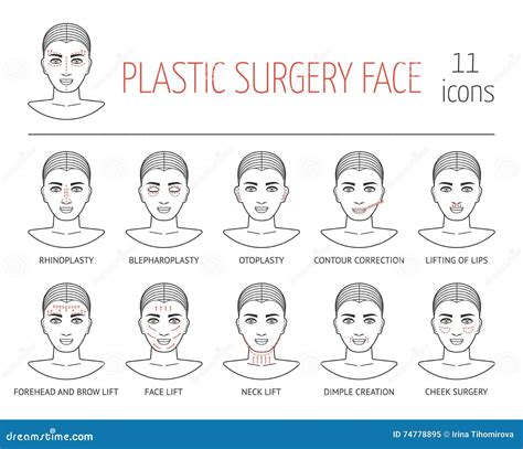 Plastic Surgery Face Template