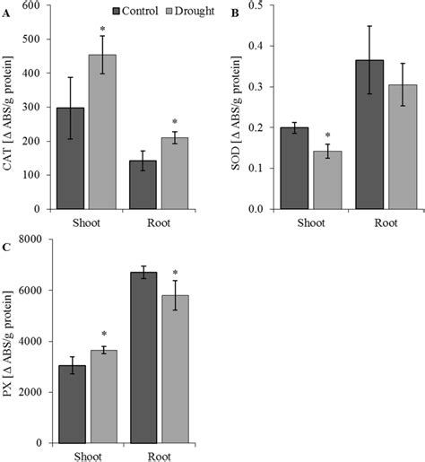 Activity Of Antioxidant Enzymes Catalasecat A Superoxide