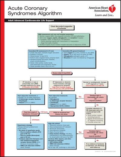 Pharmacology Cheat Sheet Acls Algorithm Acls Icu Nursing