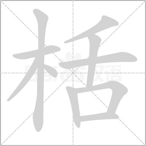 木字旁加一个舌念什么字？《栝》怎么读？