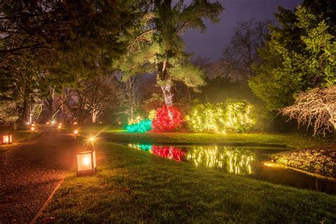 Christmas Walk Cart Tour Nights Dow Gardens