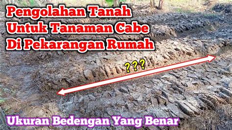 Pengolahan Tanah Untuk Tanaman Cabe Dan Membuat Ukuran Bedengan Youtube