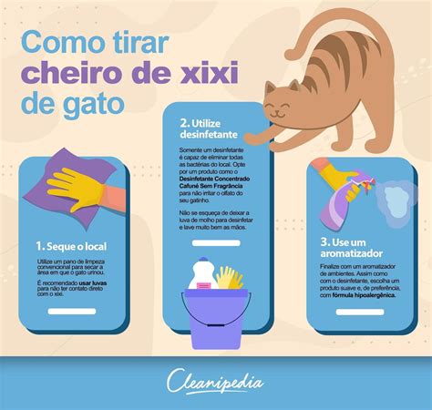 Xixi De Gato Faz Mal - Como tirar o cheiro de xixi de gato da sua casa? Descubra o passo a ...