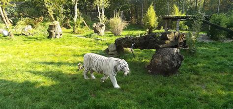 Tier Und Freizeitpark Th Le