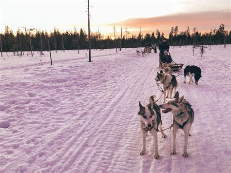 Finnish Lapland in Winter: The Ultimate Guide (2024)