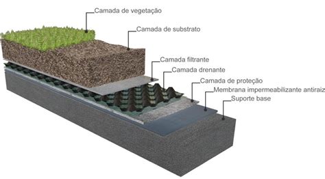 A Import Ncia Das Coberturas Verdes Na Cria O De Cidades Resilientes