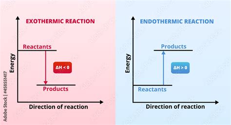 Exothermic Vs Endothermic Reaction Graphs Energy Acti