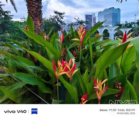 Vivo V G Continuing The Camera Legacy Now With Zeiss Optics