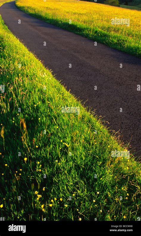 Uk Summer Rural Road Leading Off Into Distance Between Two Fields Of