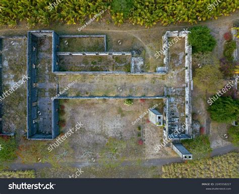 cane mare images stock   objects vectors shutterstock
