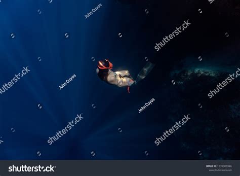 Sexy Free Diver Wearing Bikini Ascends Stock Photo Shutterstock