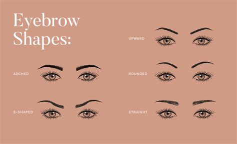 Eyebrow Shapes, Explained + Expert Tips To Style Yours